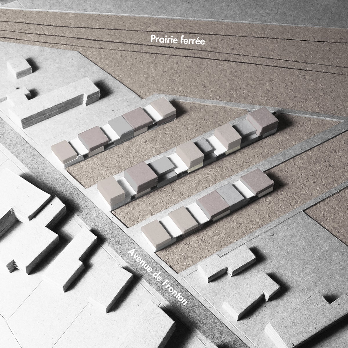 Maquette : Implantation et typologies